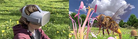 Honigbiene VR