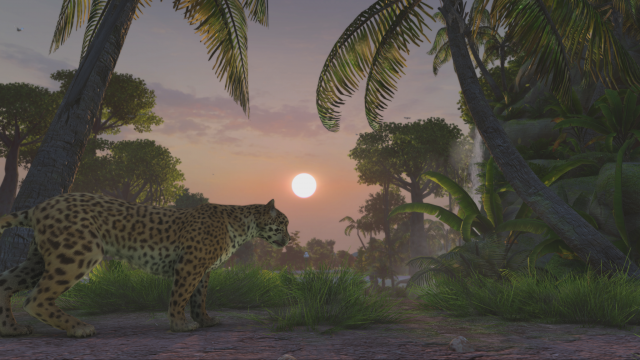 Zoo Tycoon Cheetah
