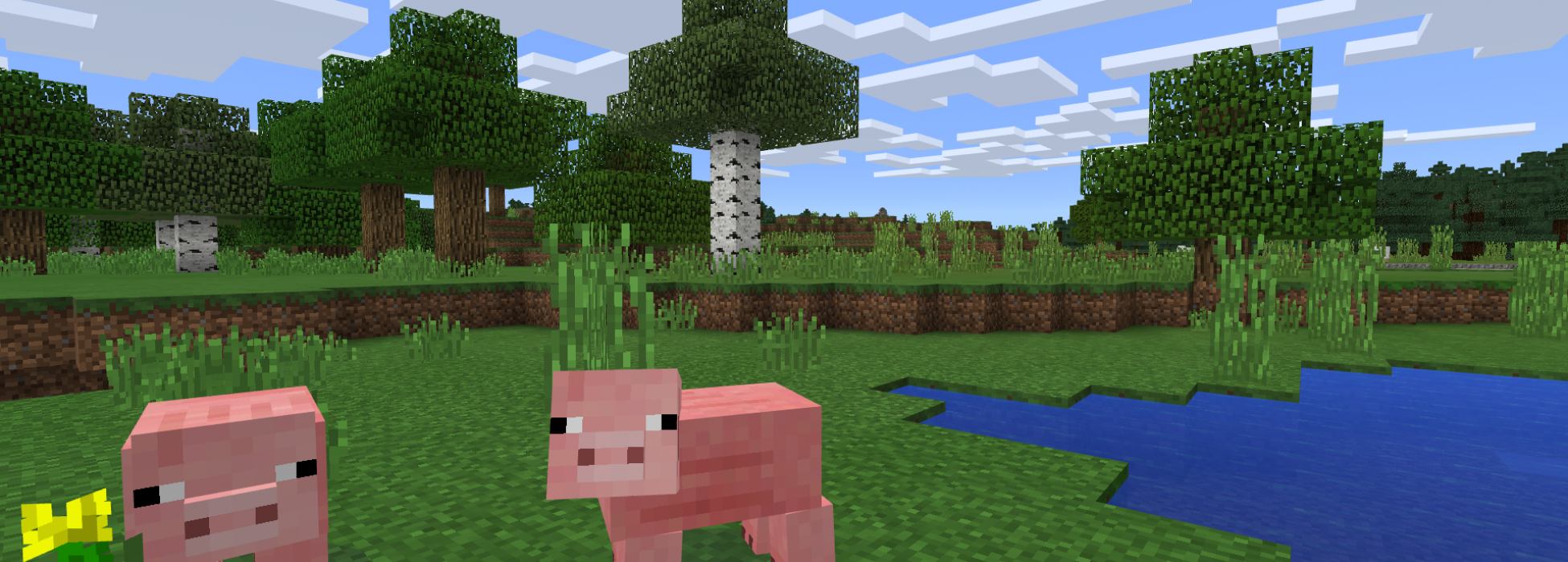 Schweinchen in Minecraft