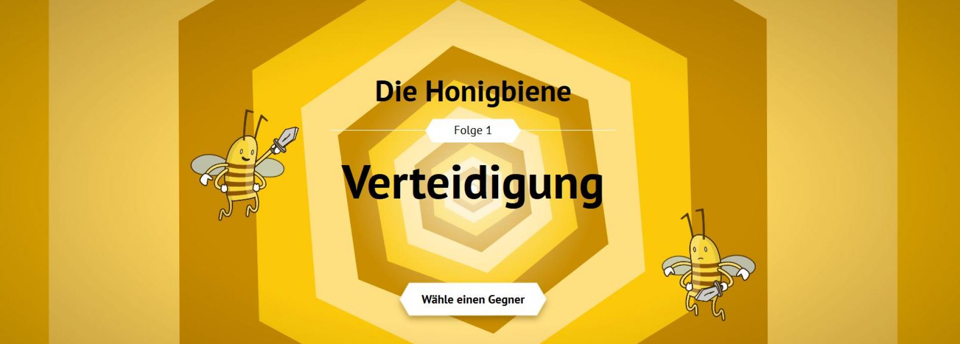 Bild Honigbiene