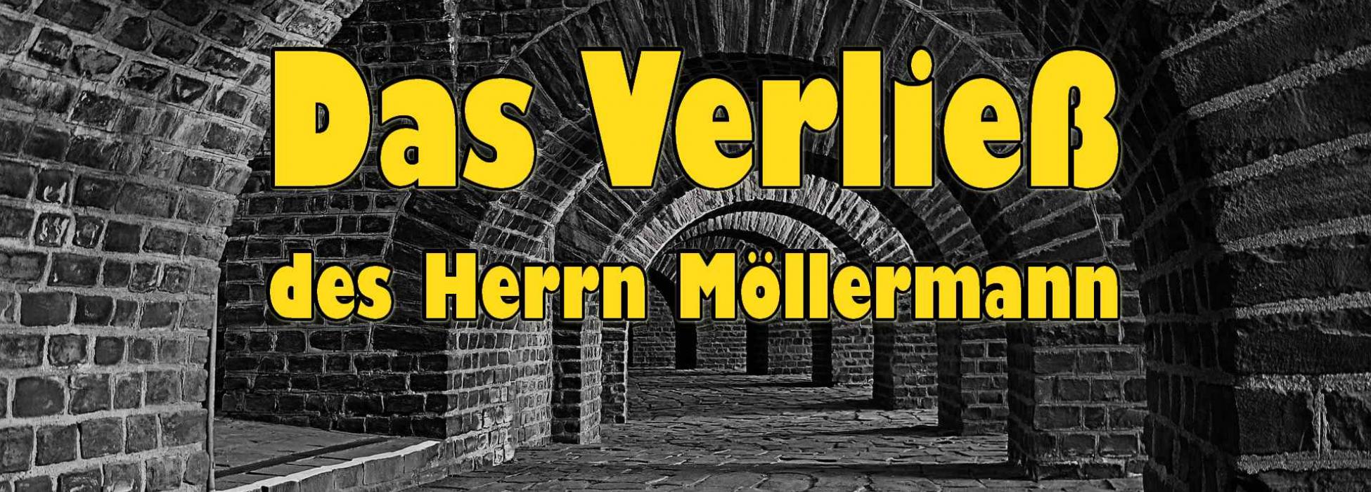 Das Titelbild des Spiels zeigt den Titel: "Das Verließ des Herrn Möllermann- Ein digitaler Physik-Escape-Room" vor dem Bild eines steinernen Verließes.